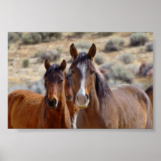 Mum with Teenage Foal Poster