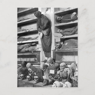Mummies in the Palermo catacombs, Italy Postcard