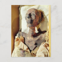 Mummified body of Ramesses II found in a tomb