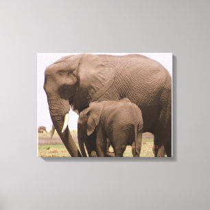 Mummy and Baby Elephant Canvas Print