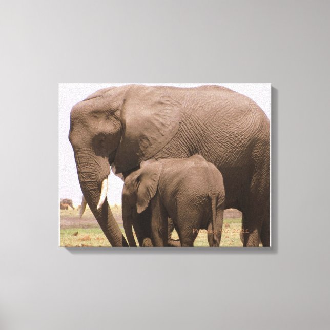 Mummy and Baby Elephant Canvas Print (Front)