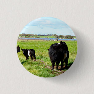 Mummy And Baby Galloway Cow, Key Ring 3 Cm Round Badge