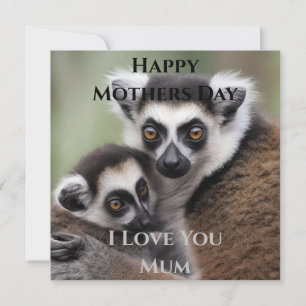 Mummy And Baby Lemur Cuddling Mothers Day Card