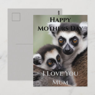 Mummy And Baby Lemur Cuddling Mothers Day Postcard