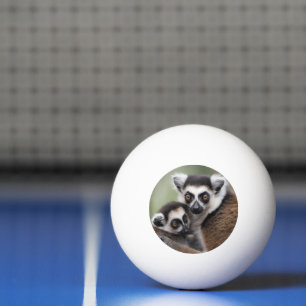 Mummy And Baby Lemur Cuddling, Ping Pong Ball