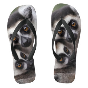 Mummy And Baby Lemur Having A Cuddle, Flip Flops