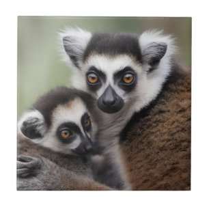 Mummy And Baby Lemur Having A Cuddle, Tile