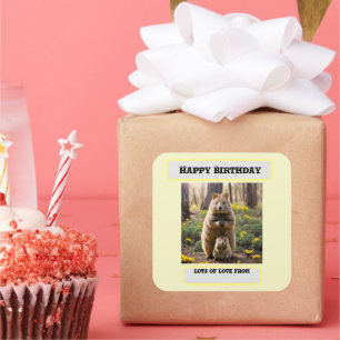 Mummy And Baby Meerkat, Birthday Square Sticker