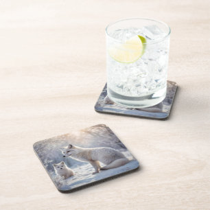 Mummy And Baby White Arctic Foxes, Coaster