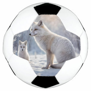 Mummy And Baby White Arctic Foxes, Football