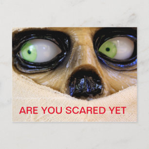 mummy mummy eyes scary funny Halloween bandage Postcard