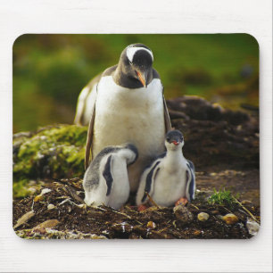 Mummy Penguin and babies Mouse Mat