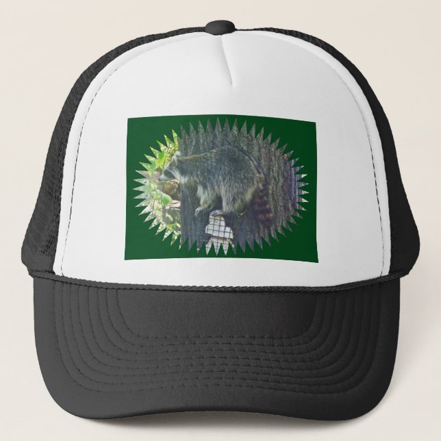 Mummy Racoon on Suet Hat (Front)