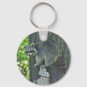 Mummy Racoon on Suet Keychain