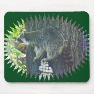 Mummy Racoon on Suet Mousepad