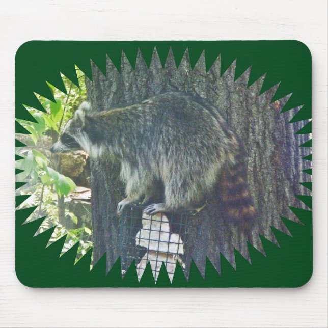 Mummy Racoon on Suet Mousepad (Front)
