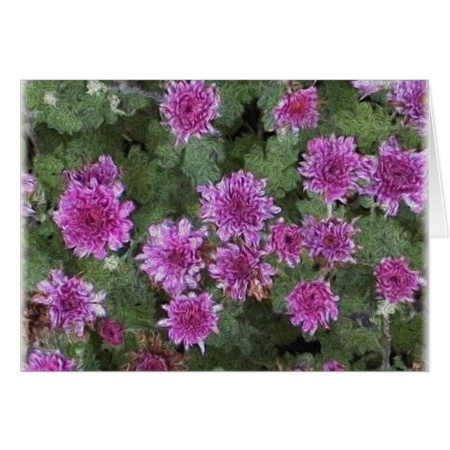 Mums (Front Horizontal)