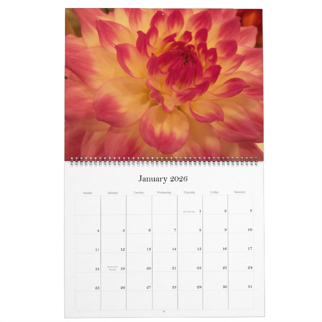 Mums & Dahlias 2012 Calendar (Jan 2026)