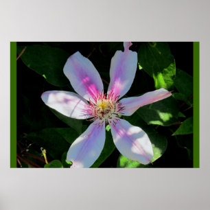 Mum's Flower Garden Poster
