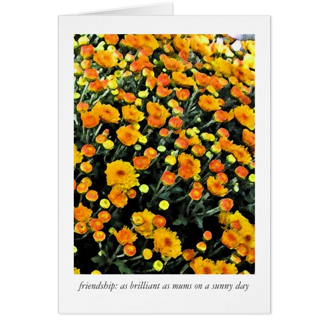 Mums (No. 0732) (Front)