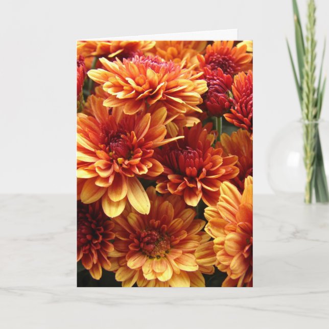 Mums, Thanksgiving Holiday Card (Front)