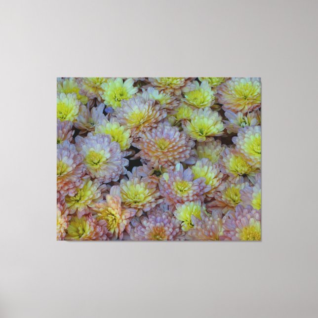 Mums the Word for Fall Splendour on a Canvas Print (Front)