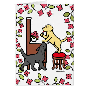 Mum's Yellow Lab and Black Lab Puppy Duo