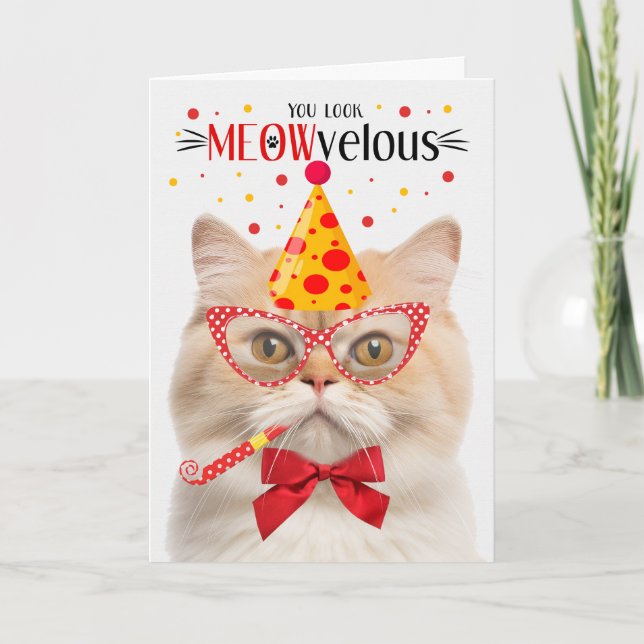 Munchkin Cat MEOWvelous Birthday Card (Front)
