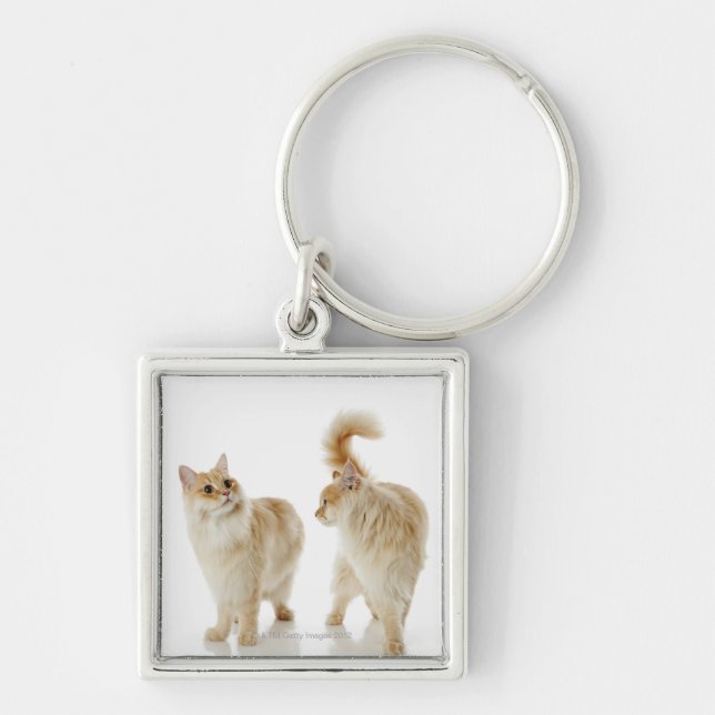 Munchkin cats key ring (Front)