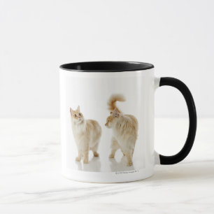 Munchkin cats mug