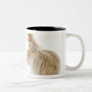 Munchkin cats Two-Tone coffee mug