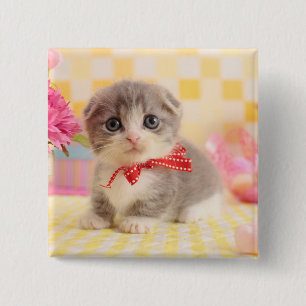 Munchkin Kitten 15 Cm Square Badge