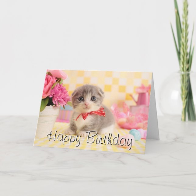Munchkin Kitten Card (Front)
