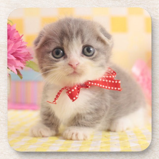 Munchkin Kitten Coaster (Front)