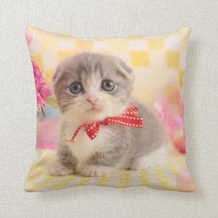 Munchkin Kitten Cushion