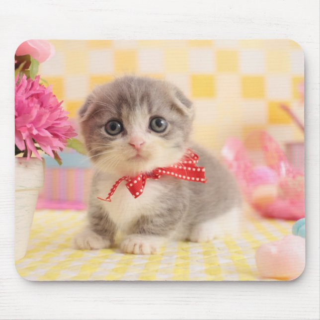 Munchkin Kitten Mouse Mat (Front)