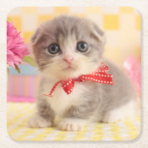 Munchkin Kitten Square Paper Coaster