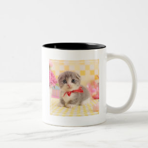 Munchkin Kitten Two-Tone Coffee Mug