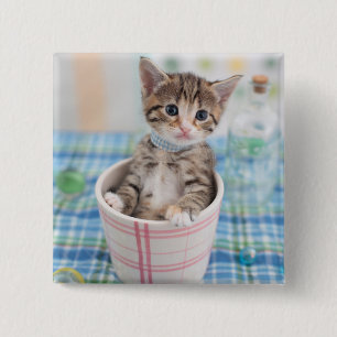 Munchkin Kitten With Pretty Ribbon 15 Cm Square Badge