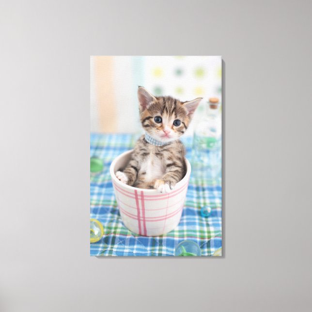 Munchkin Kitten With Pretty Ribbon Canvas Print (Front)