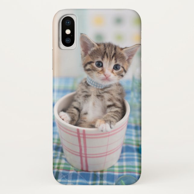 Munchkin Kitten With Pretty Ribbon Case-Mate iPhone Case (Back)