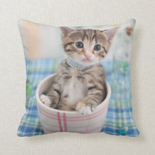 Munchkin Kitten With Pretty Ribbon Cushion