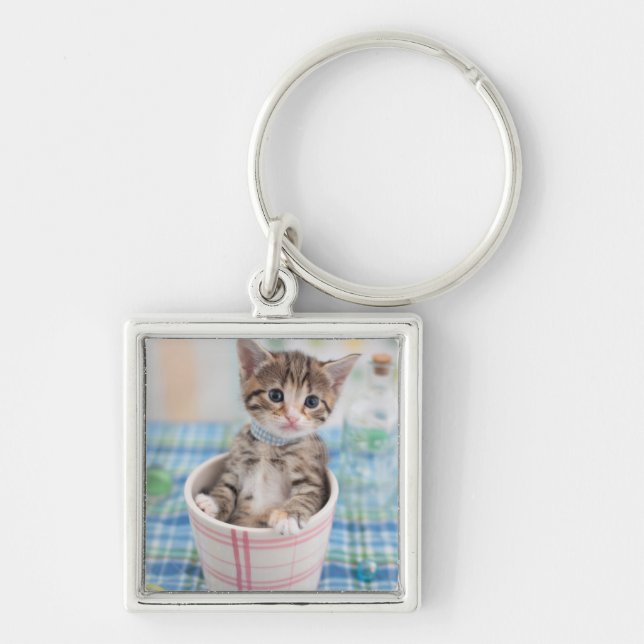 Munchkin Kitten With Pretty Ribbon Key Ring (Front)