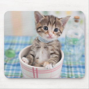 Munchkin Kitten With Pretty Ribbon Mouse Mat