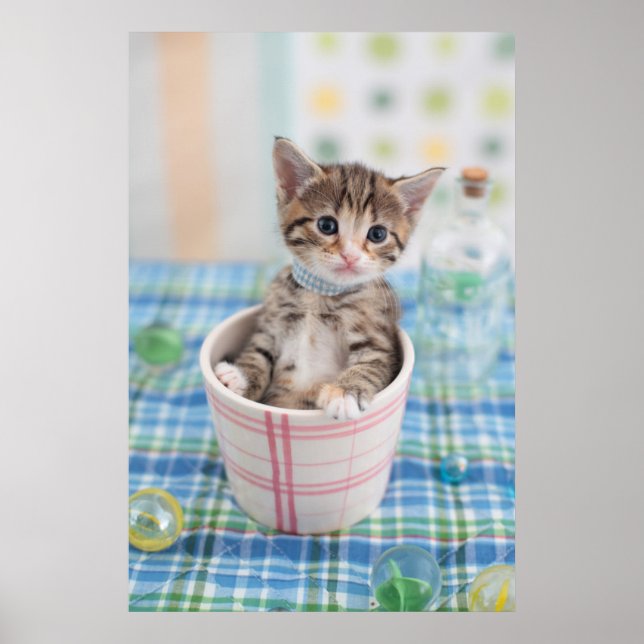 Munchkin Kitten With Pretty Ribbon Poster (Front)