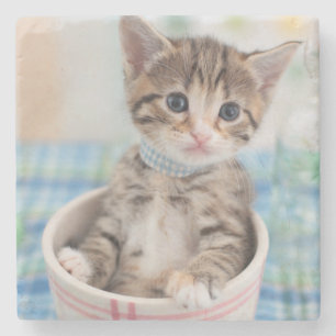 Munchkin Kitten With Pretty Ribbon Stone Coaster