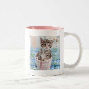 Munchkin Kitten With Pretty Ribbon Two-Tone Coffee Mug