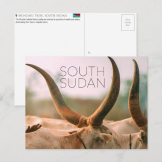 Mundari Cattle, South Sudan Travel Postcard