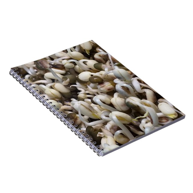 Mung The Beans Notebook (Right Side)