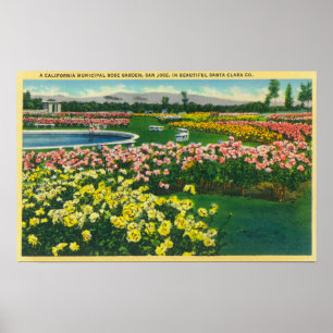 Municipal Rose Garden in Santa Clara County Poster